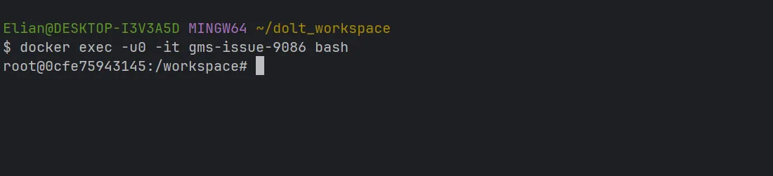 Docker exec to launch bash