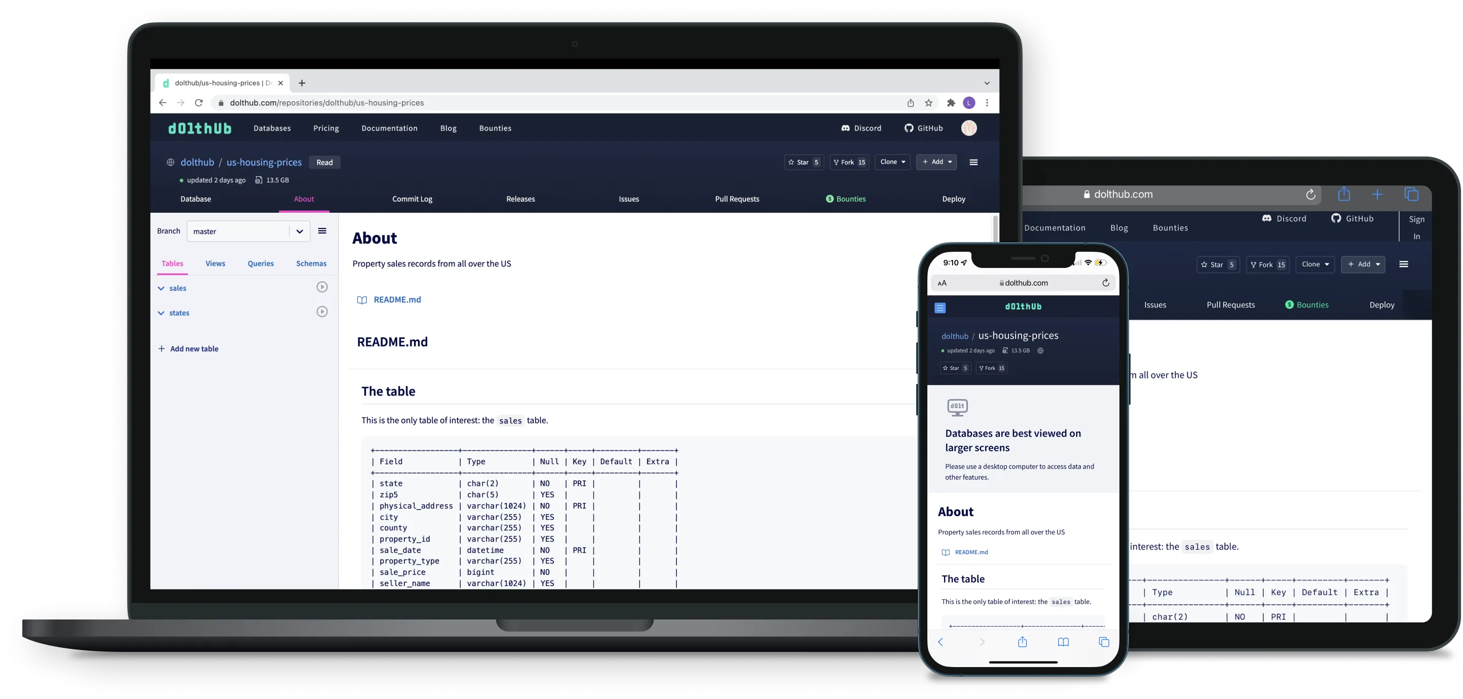 DoltHub on desktop and mobile