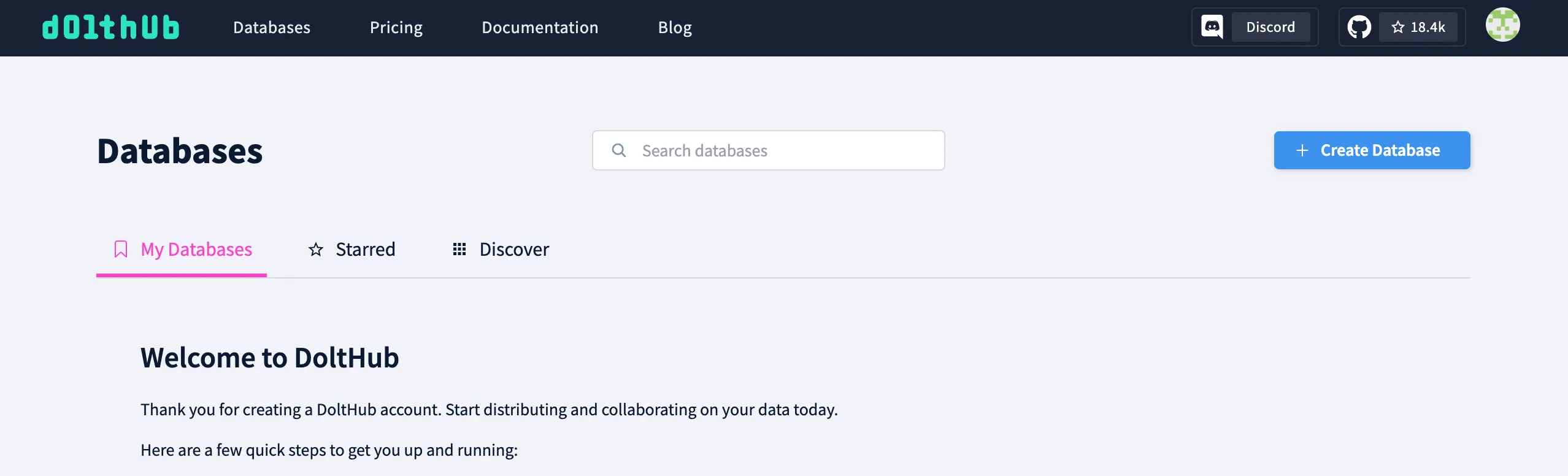 DoltHub Profile Create Database