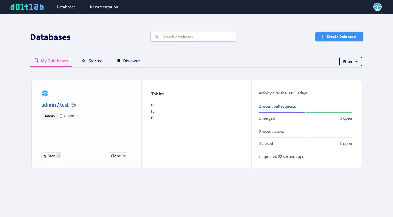 Running DoltLab instance