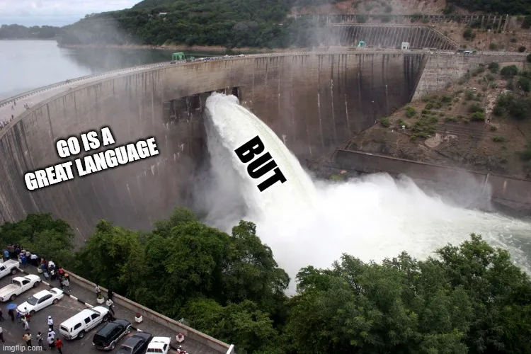 go is a great language... but