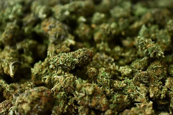 Kind buds, or 'ganja' if you will