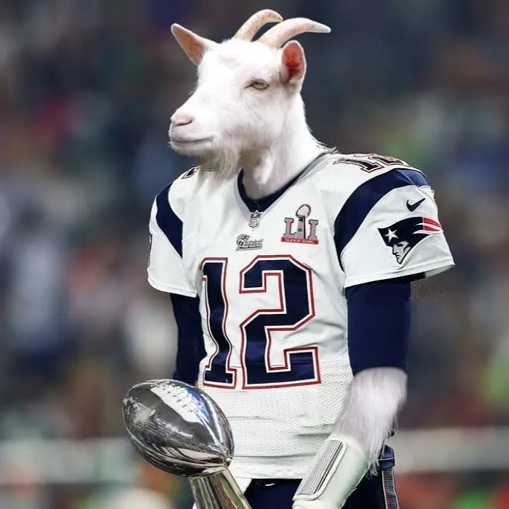 goat brady